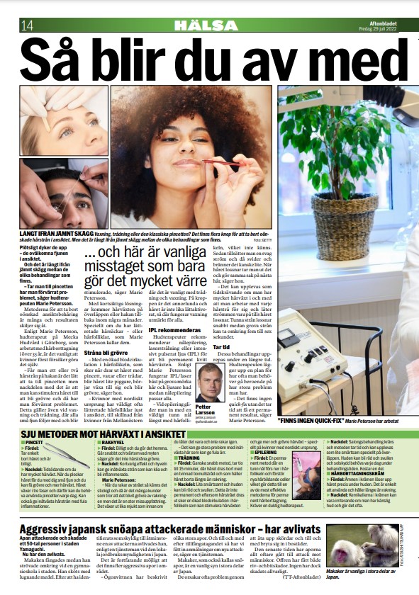 Förhandsgranskning av artikeln 1